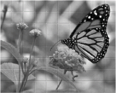 Mosaico rectangular con una mariposa sobre flores, con todas sus piezas presentes.