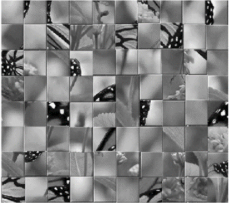 Mosaico con las piezas de la mariposa y las flores distribuidas en posiciones distintas.